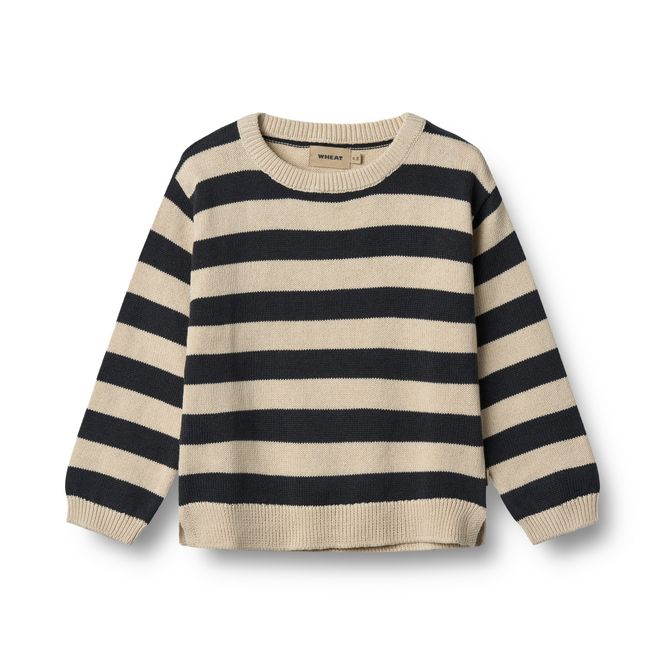 Hovedbilde Genser stripes Morgan